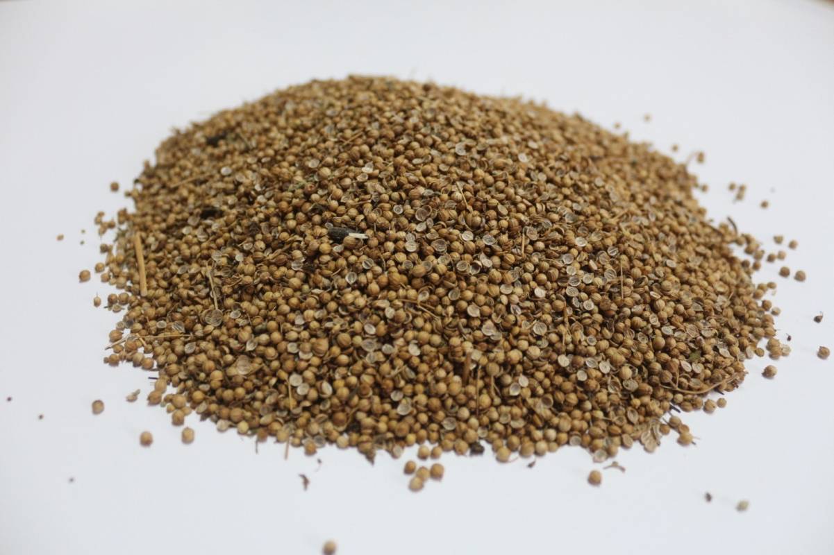 Karamanlı Kişnişi (500 gr) 1